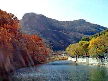 孝感24周能吃打胎药吗（孕24周可以打掉吗）